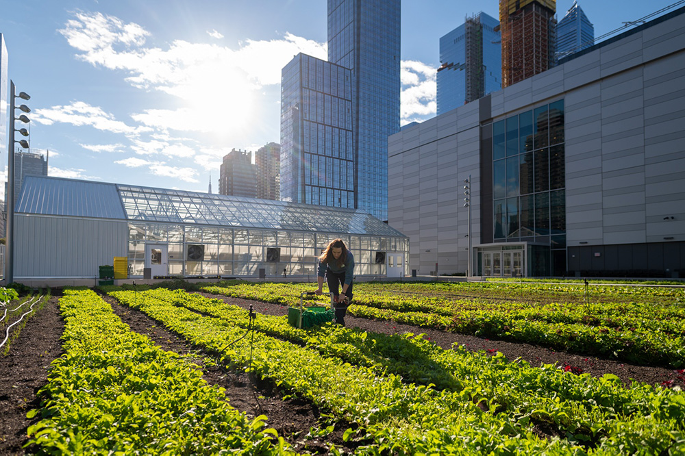 Javits Center