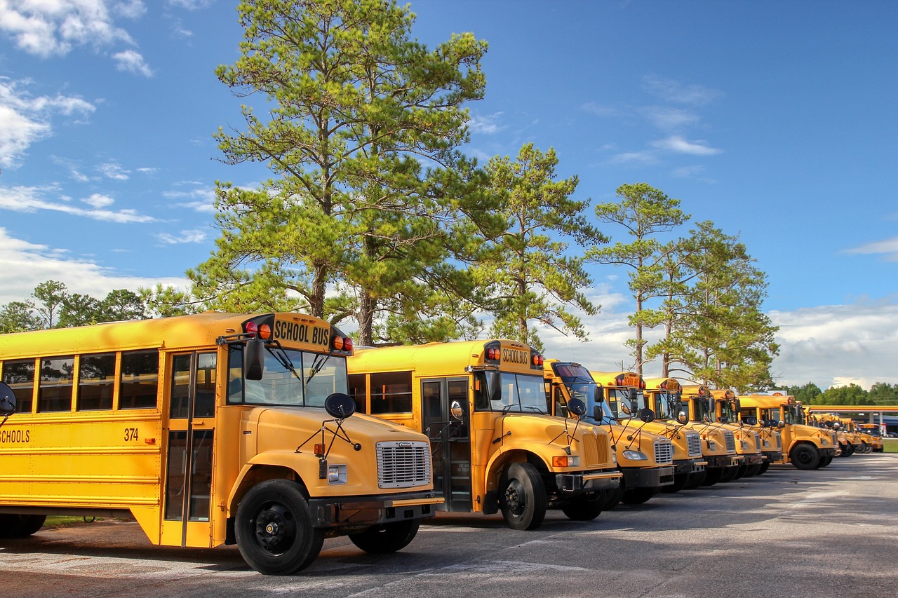 School Buses 2
