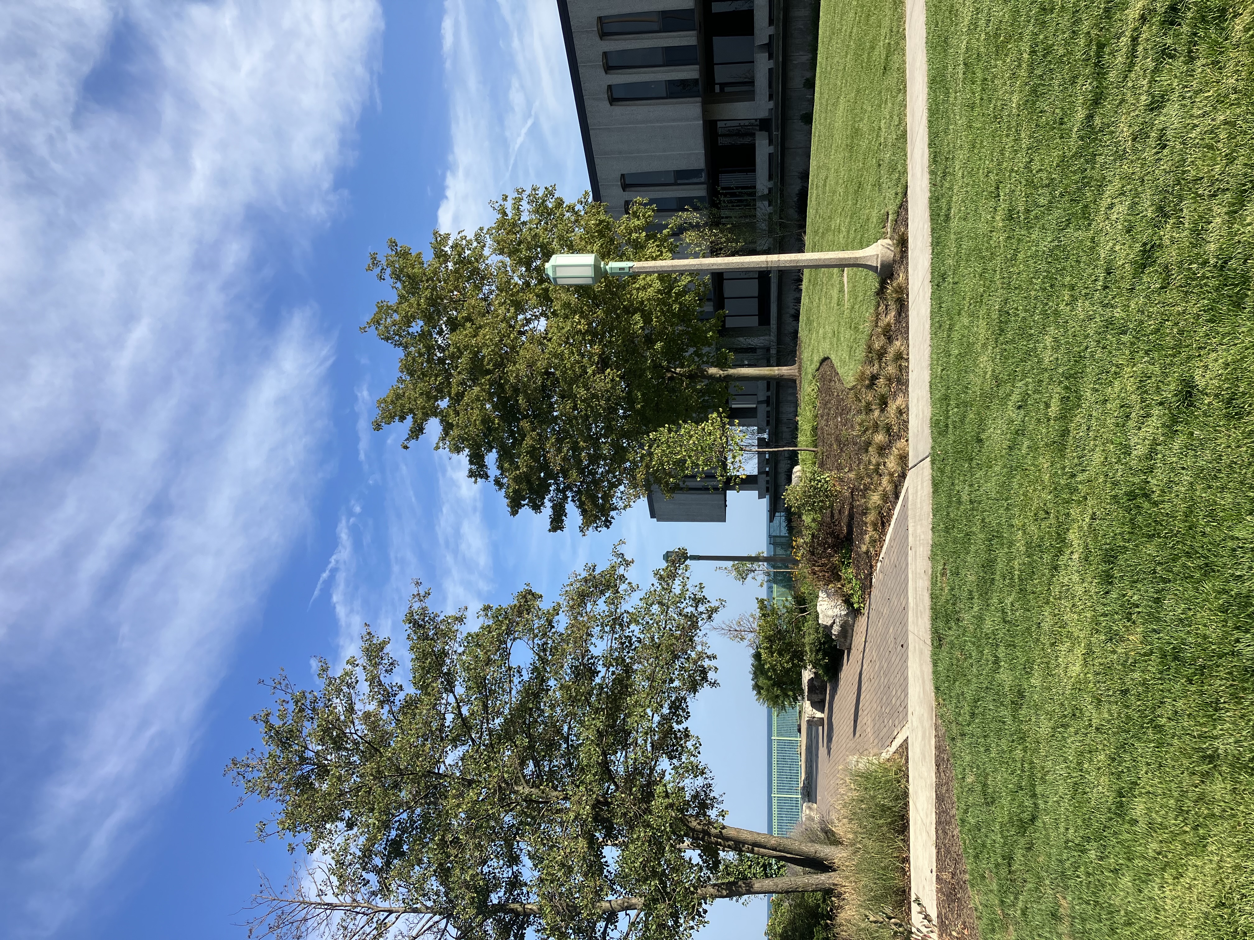 campus green