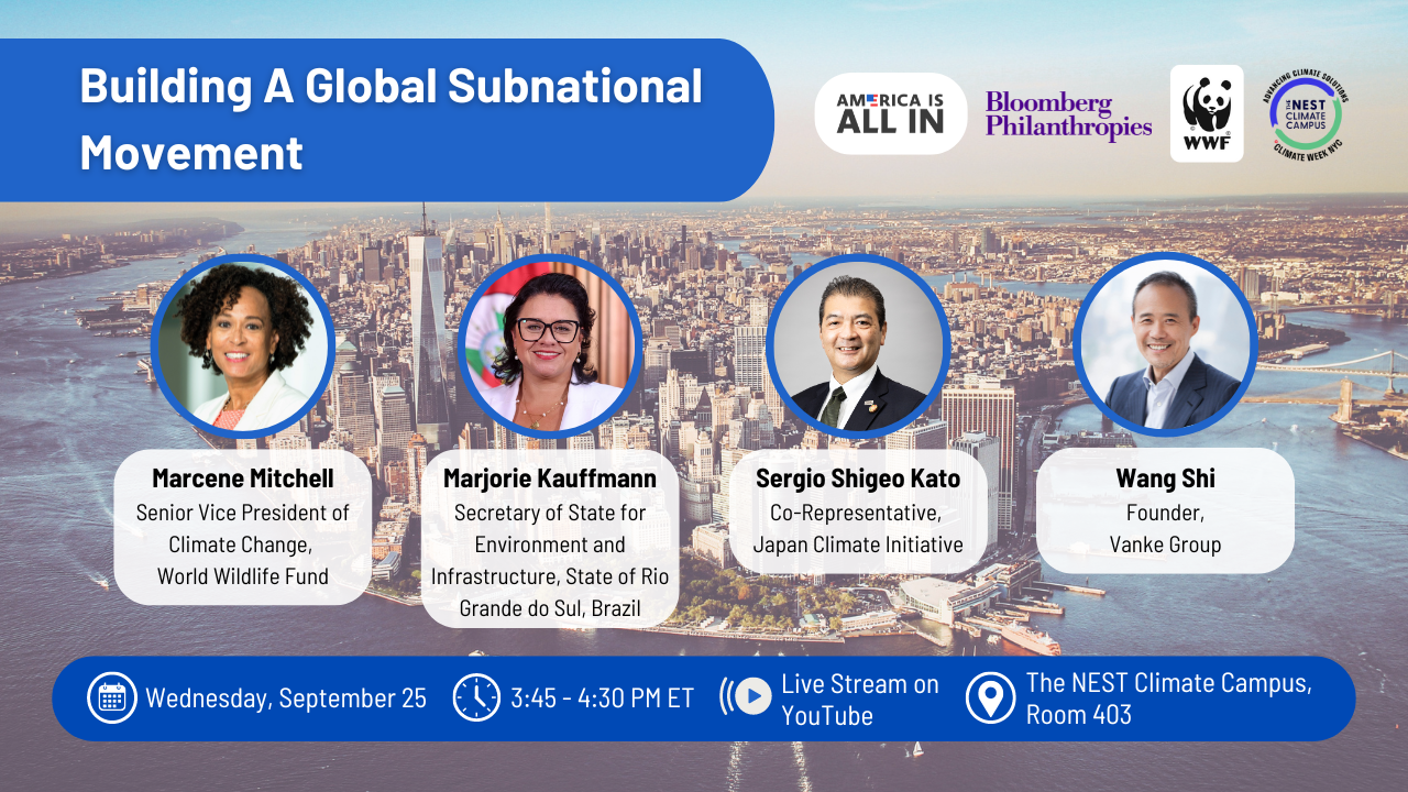 Building a Global Subnational Movement