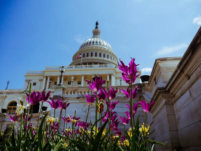 capitol hill