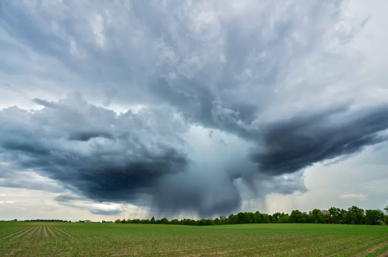 A cloud over a field of grass