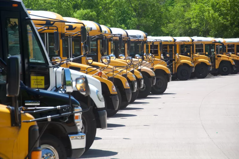 row of yellow school buses