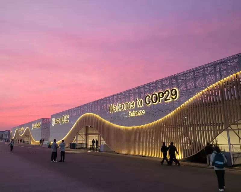 COP29 