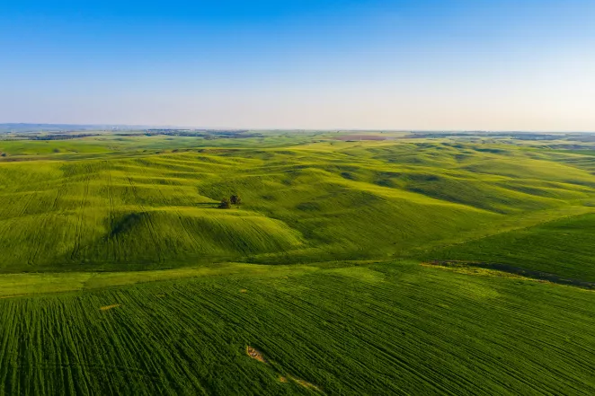 Greenhill-landscape