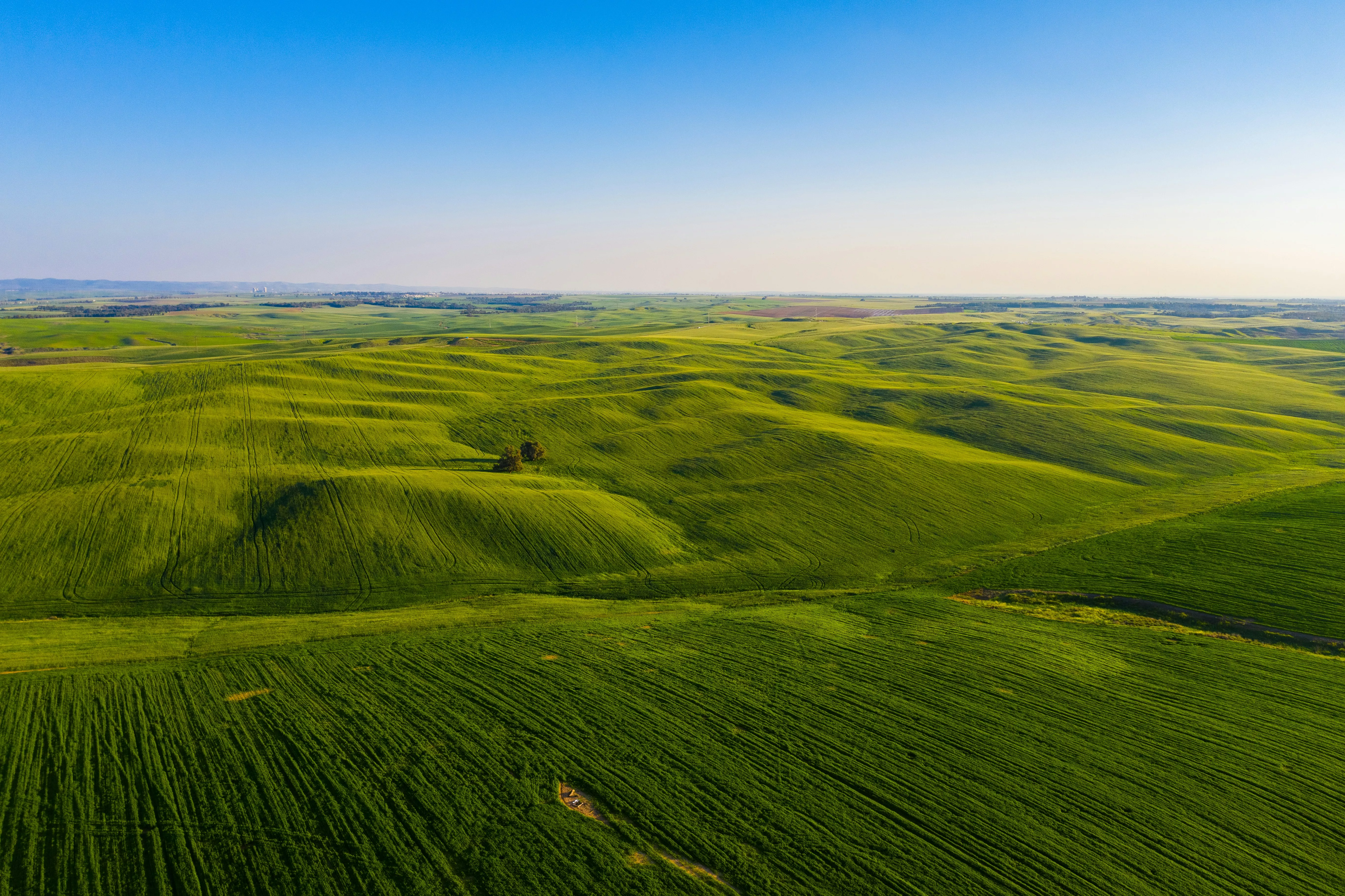 Greenhill-landscape